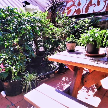 Asylum Sydney Backpackers Hostel Eksteriør billede