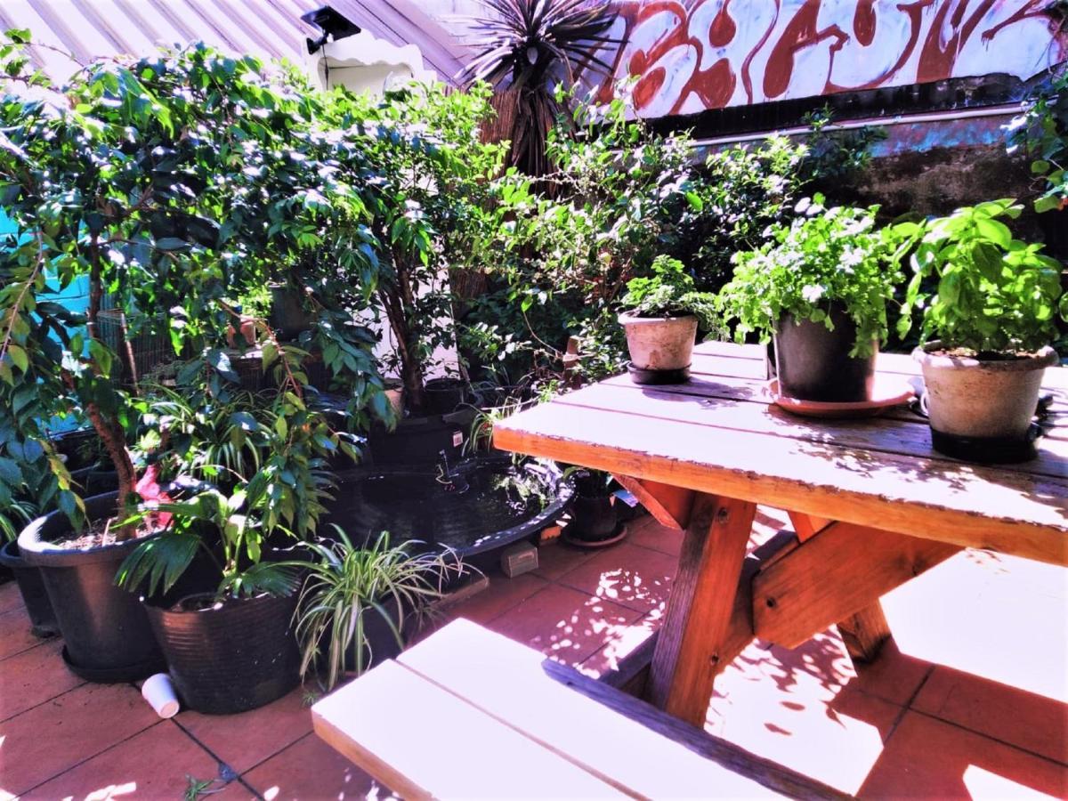 Asylum Sydney Backpackers Hostel Eksteriør billede